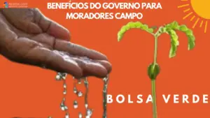 Bolsa Verde: O que é e como receber