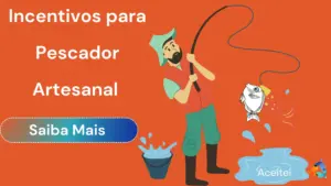 Pescador Artesanal: Veja Direitos Básicos