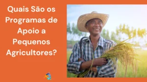 Quais São os Programas de Apoio a Pequenos Agricultores?