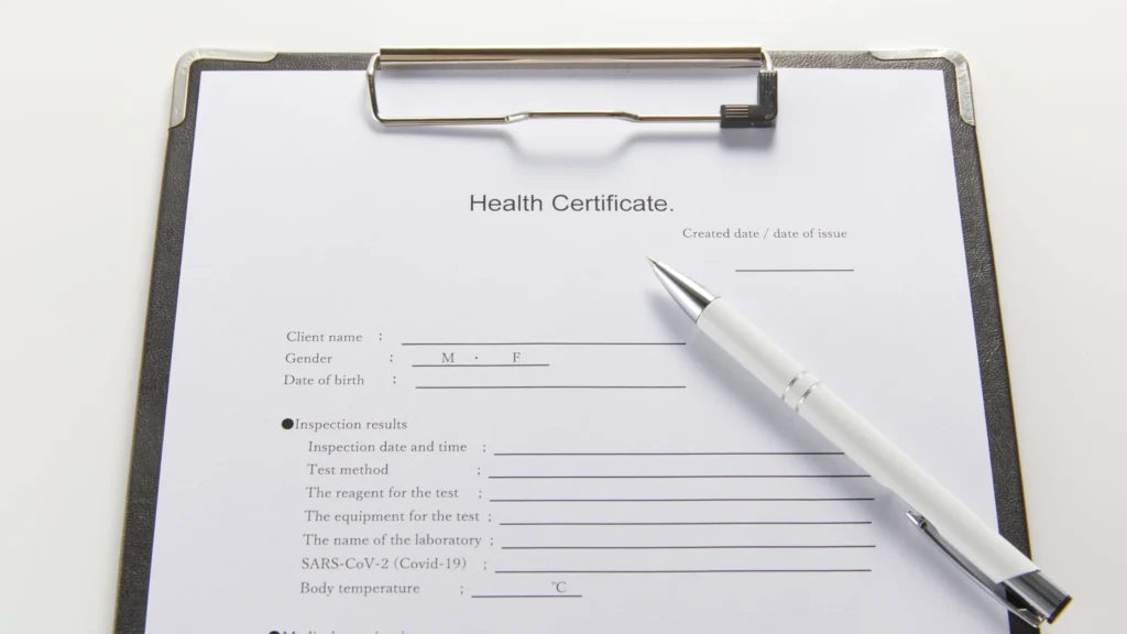 Obter a Certidão de Regularidade do CPF 