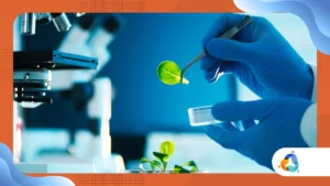 Biotecnologia: inovações que estão impactando a saúde e a agricultura