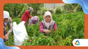 Programa Quintais Produtivos 2025: Autonomia Econômica das Mulheres Rurais