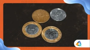 Auxílios regionais: programas estaduais que podem complementar renda