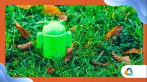 Modo desenvolvedor no Android: quais opções são úteis para usuários comuns?